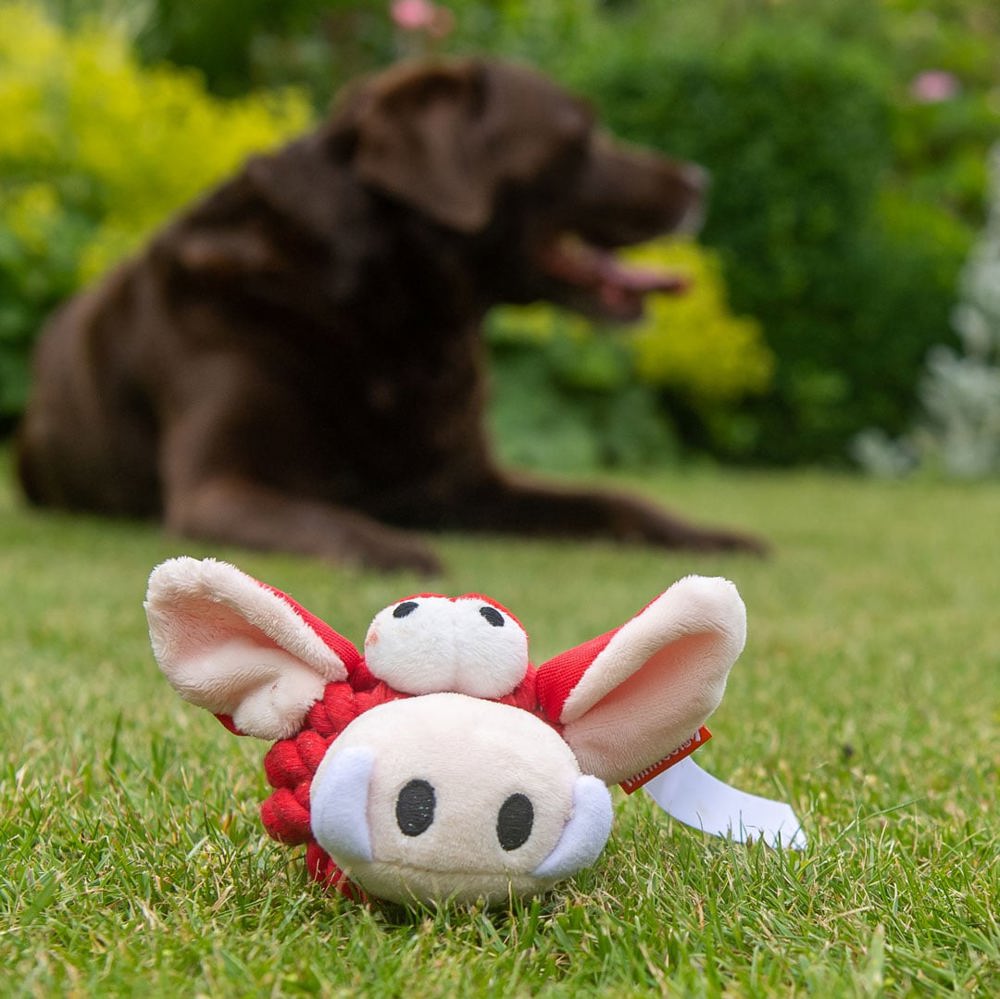 Hundespielzeug Knotentier Wildschwein, rot, one size
