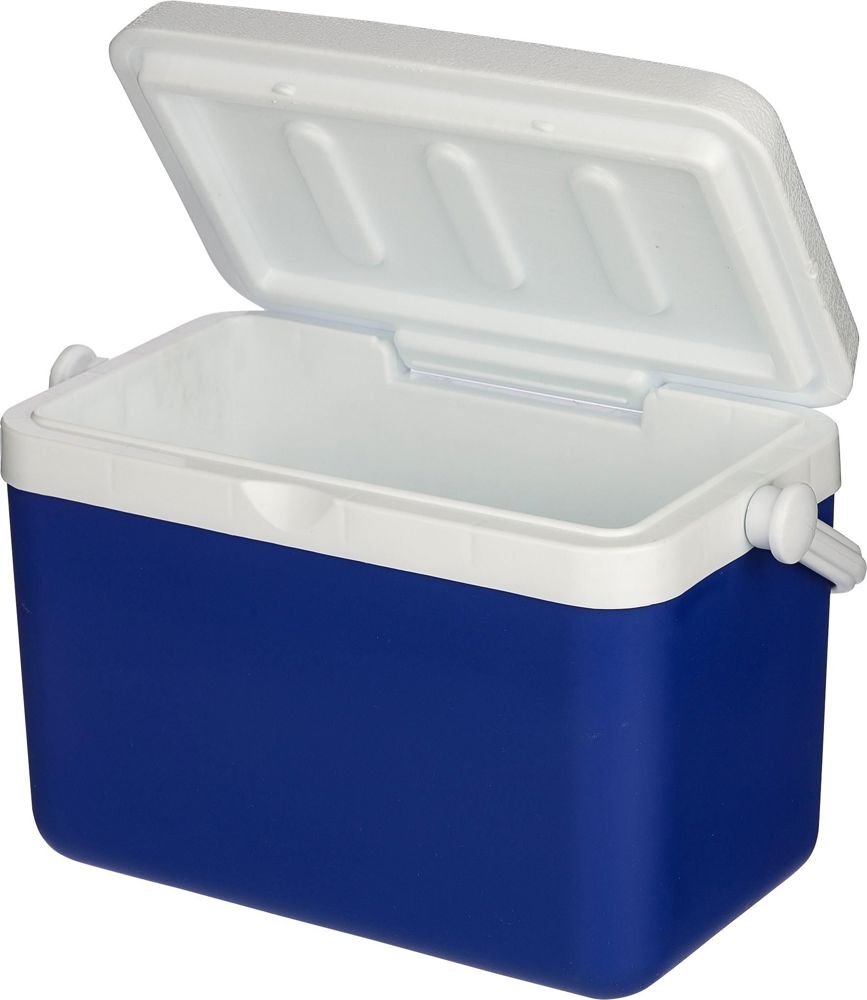 Kühlbox 4 Liter Sunkissed
