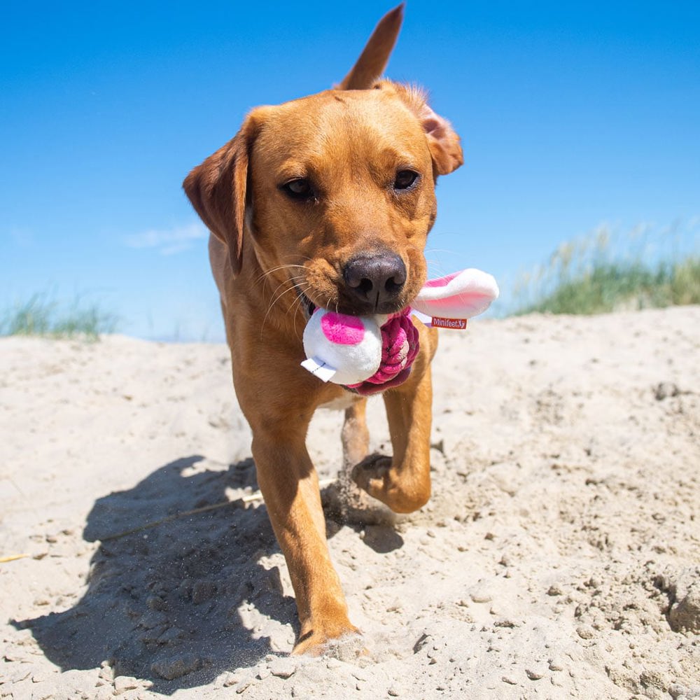 Hundespielzeug Knotentier Hase, pink, one size
