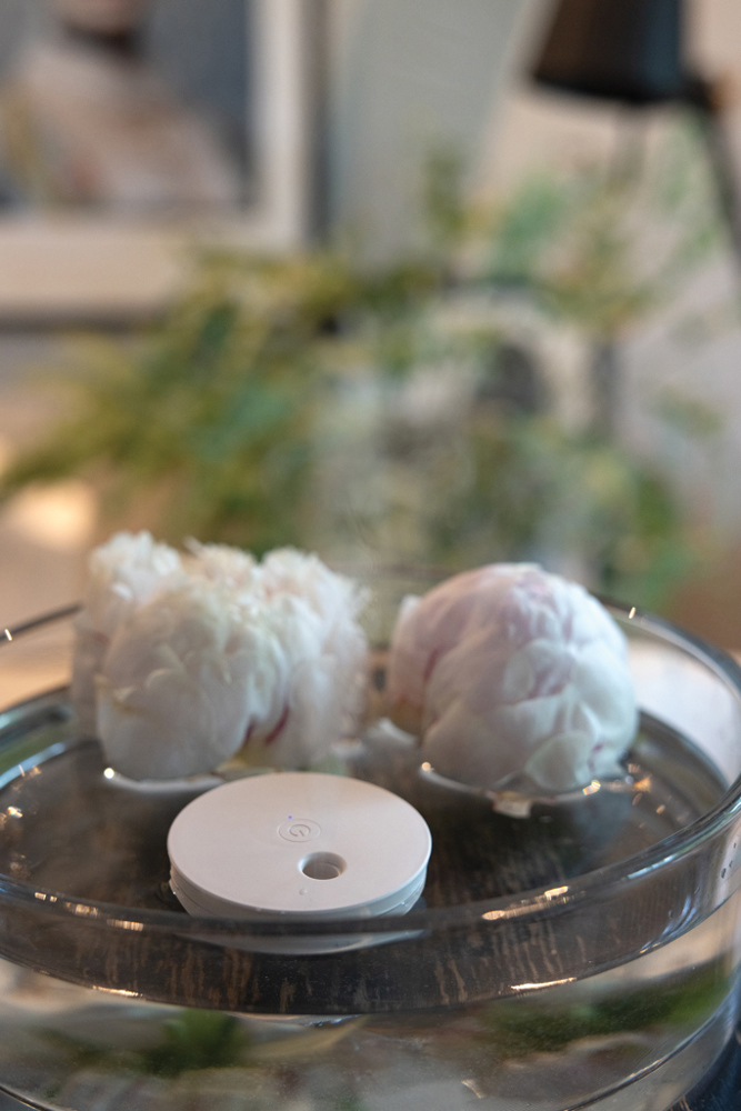 Breevia aufladbarer schwimmender Luftbefeuchter aus RCS rABS