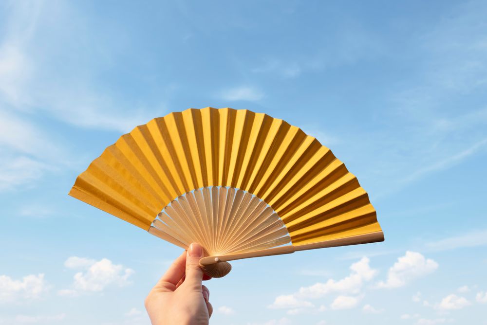 Handfächer aus Bambus Elio