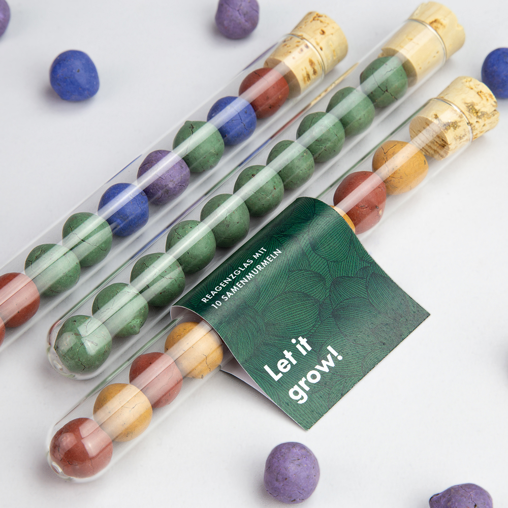 Samenmurmel im Glas – Timo