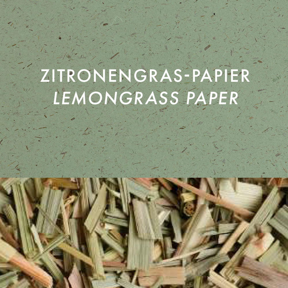 Samenbriefchen 2nd Matter – Rena