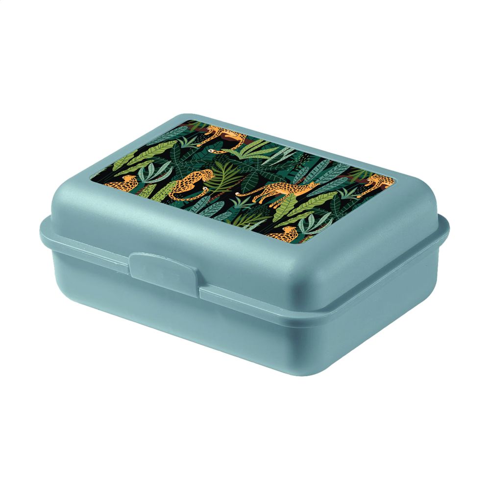 iMould LunchBreak Eco Lunchbox - Mintgrün