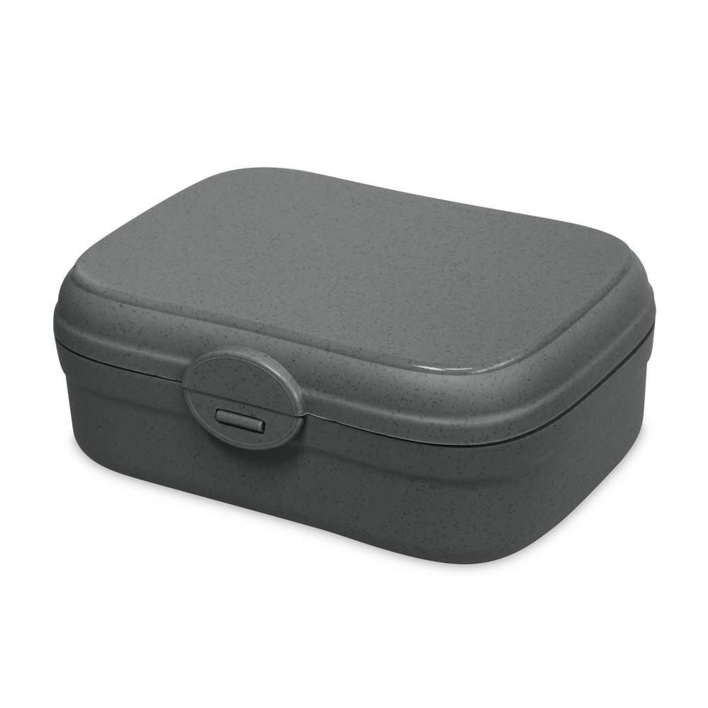 ARENA - nature ash grey