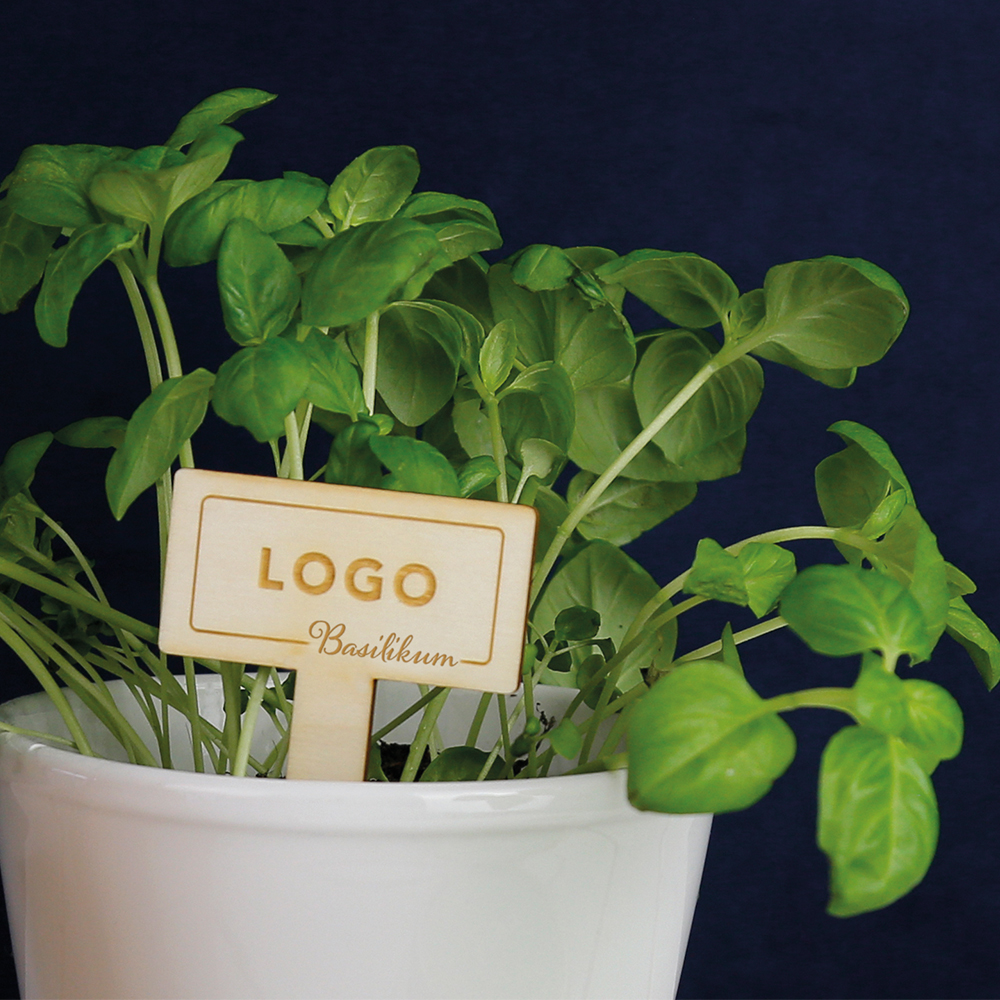 Klappkarte mit Pflanzstick – Herbi