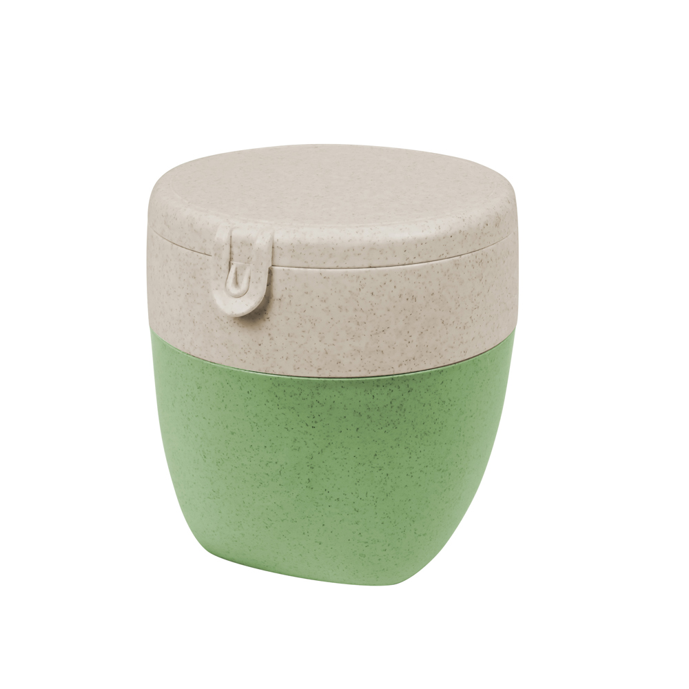 BENTOBOX BASIC - nature leaf green