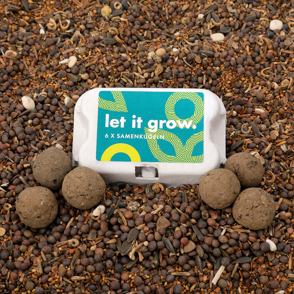 Samenkugeln 6er Karton – Kori