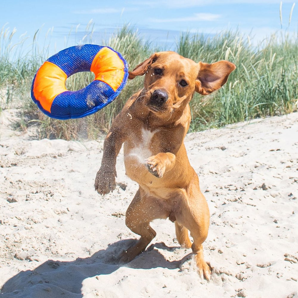 Hundespielzeug Flying Disc, orange/blau, M