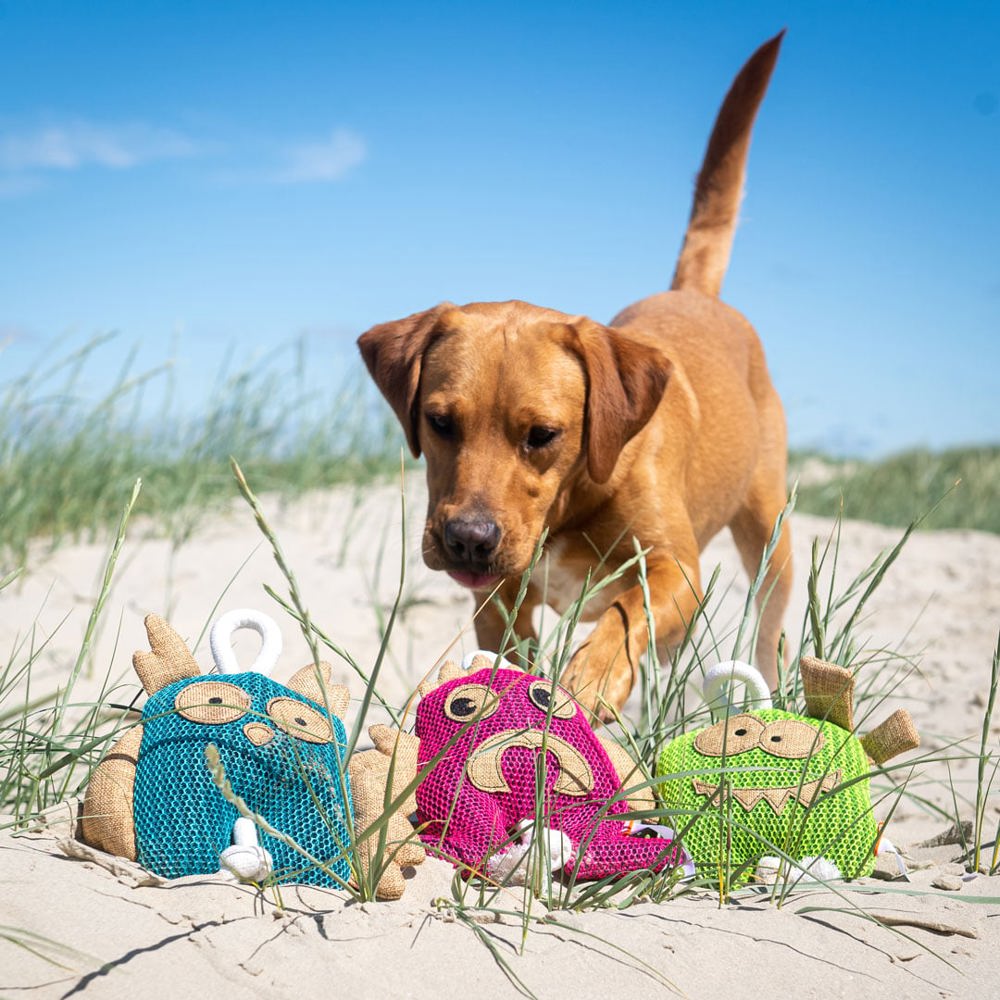 Hundespielzeug Eule, blau, one size